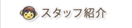 スタッフ紹介